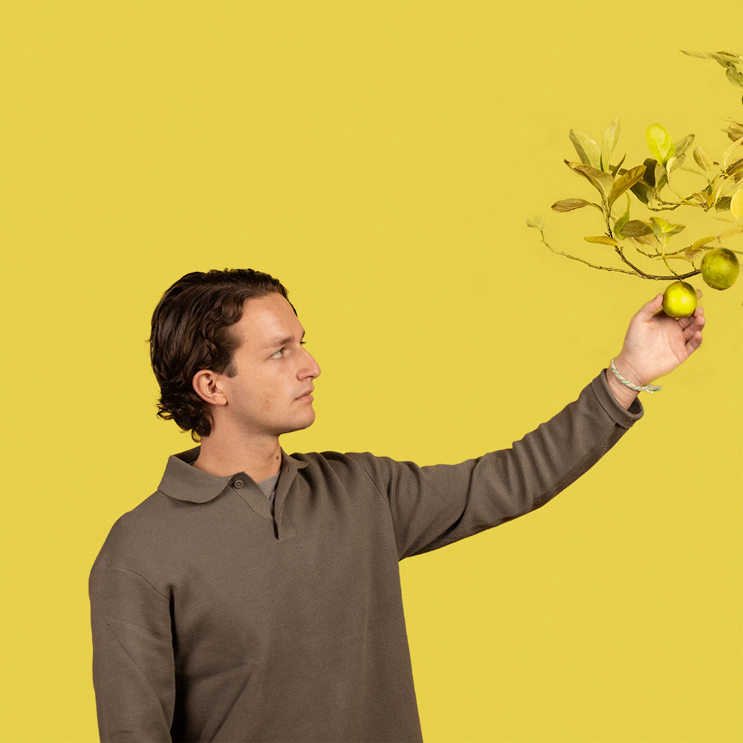 Resultaatgericht | Yellowlime